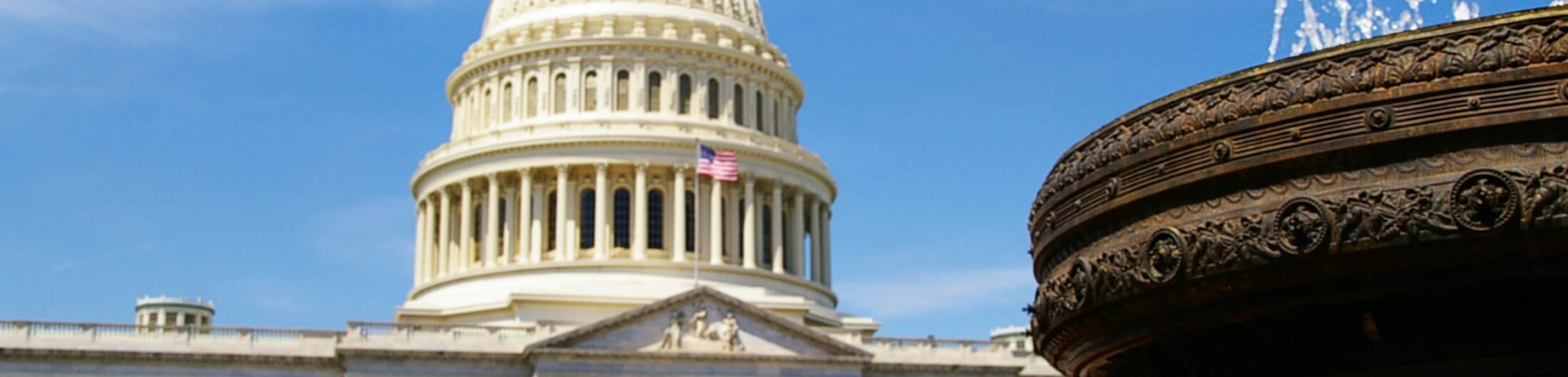 The Washington Capitol building