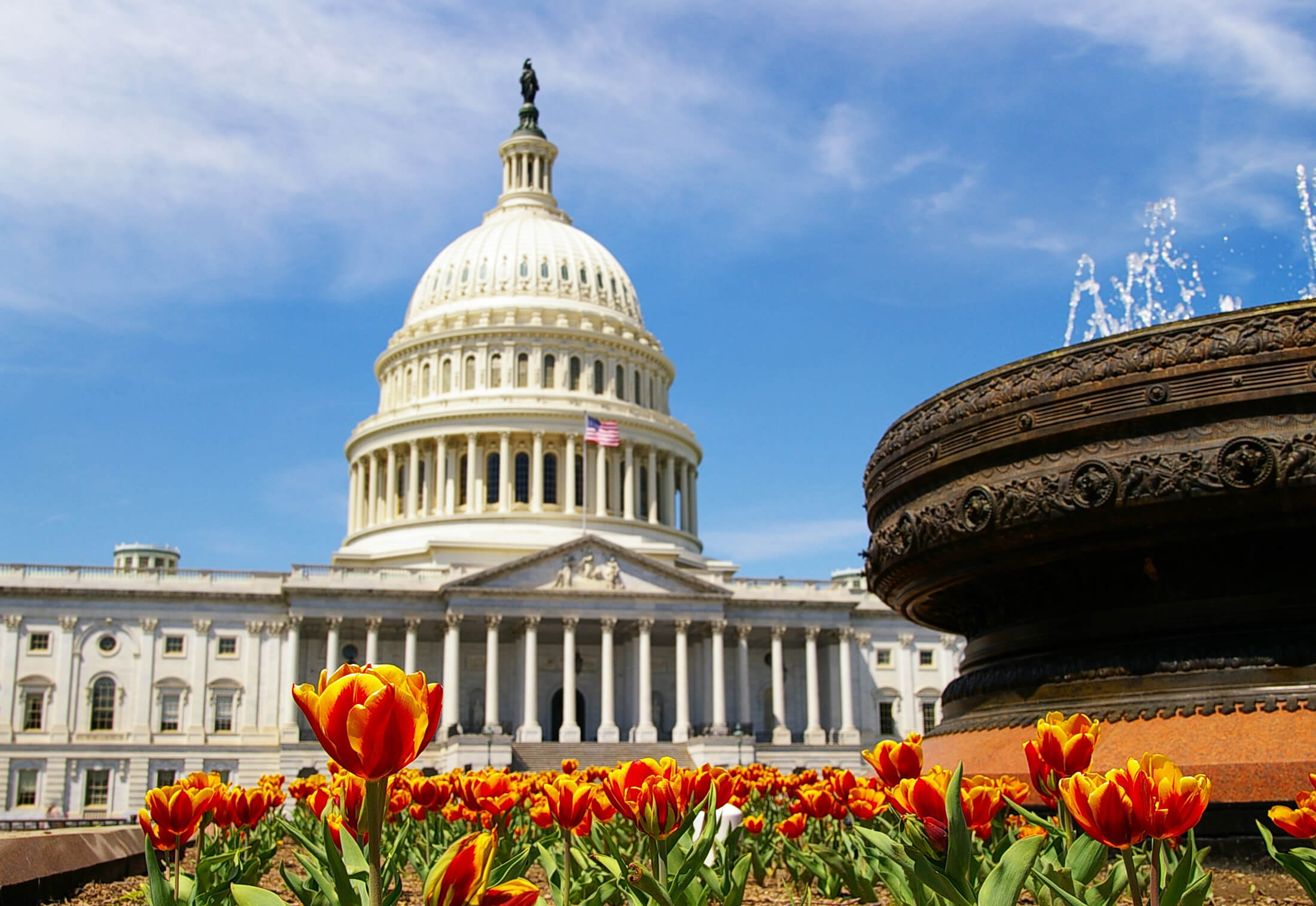 The Washington Capitol building