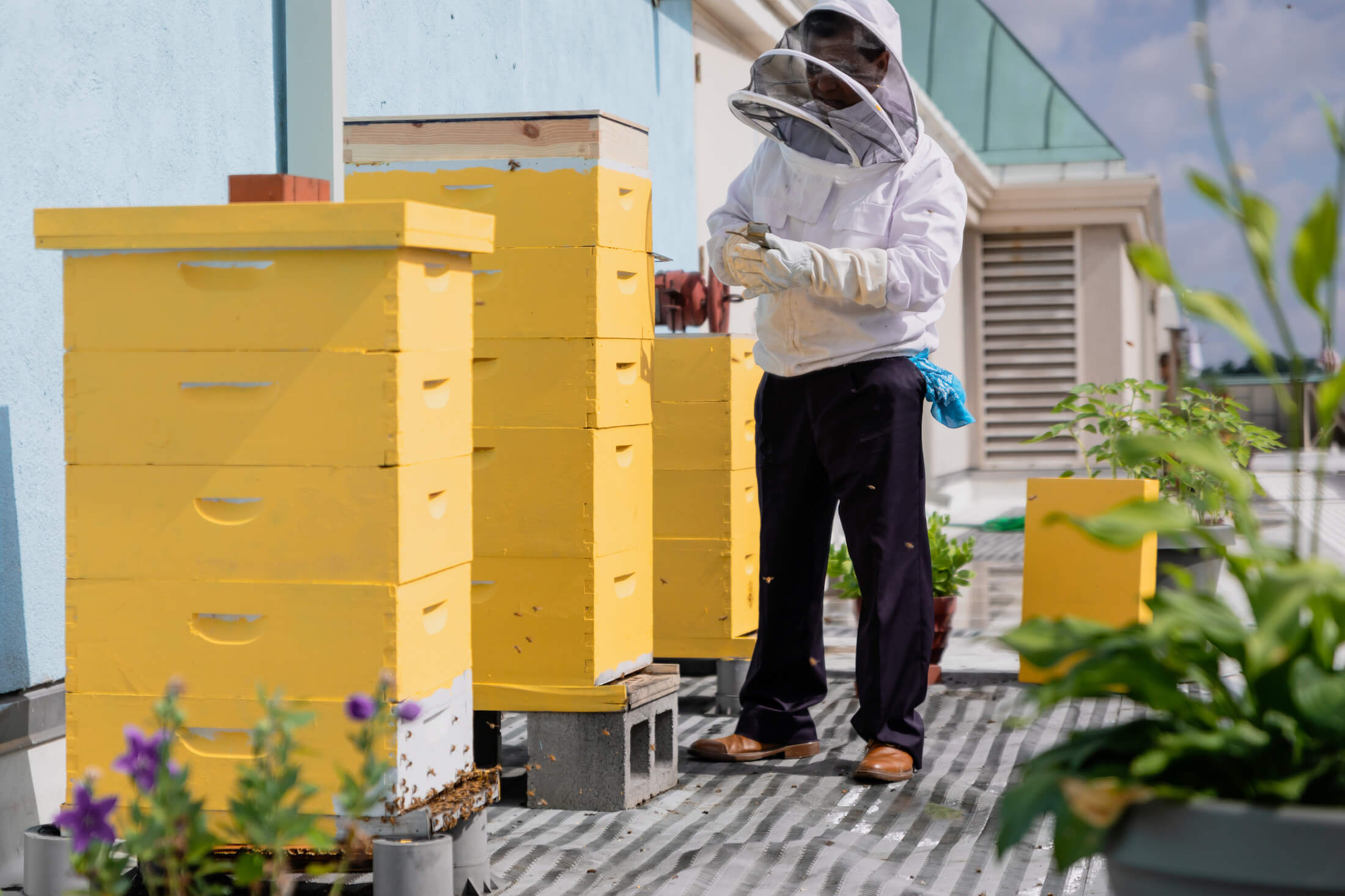 A beekeeper tending to stacks of yellow bee boxes.