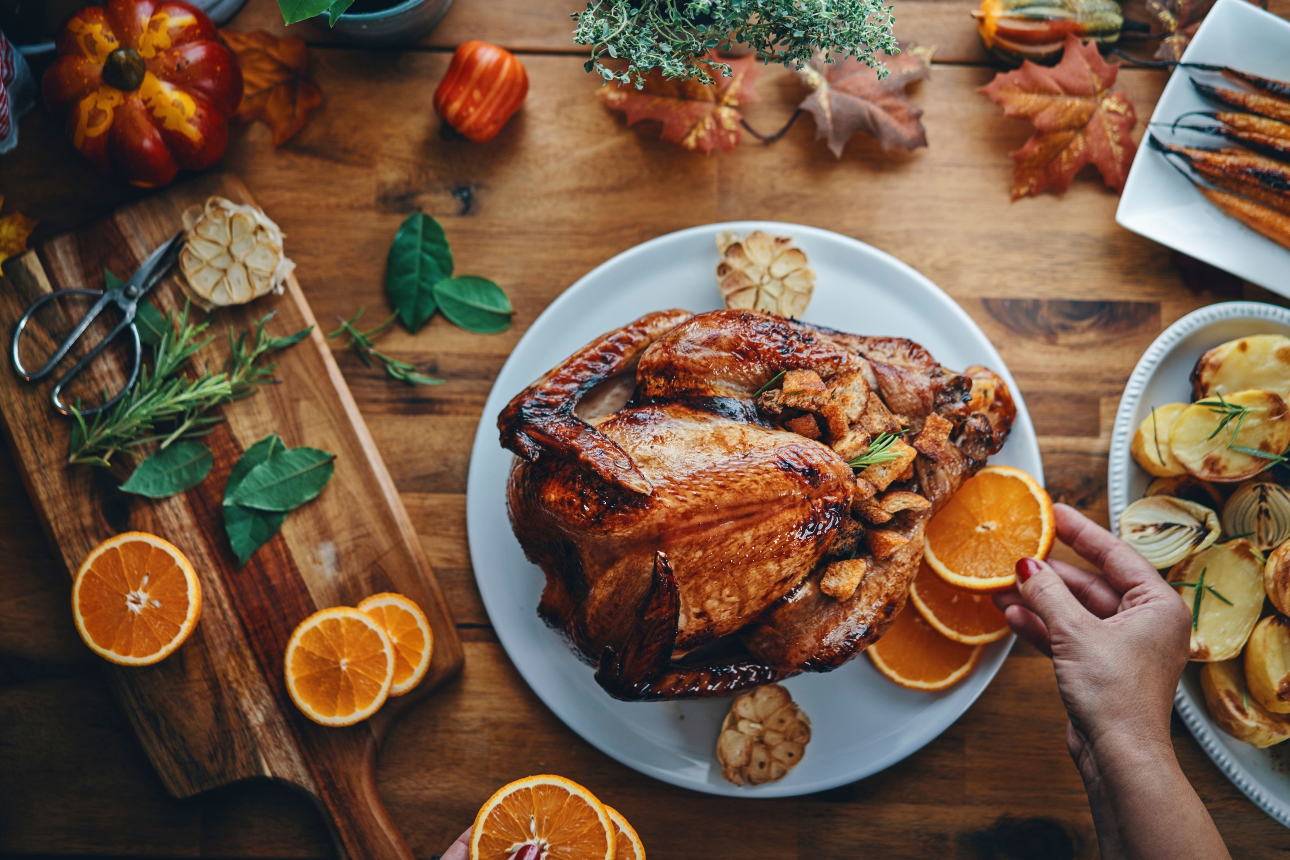Thanksgiving Buffet